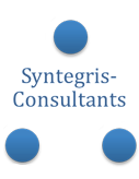 syntegris consultans